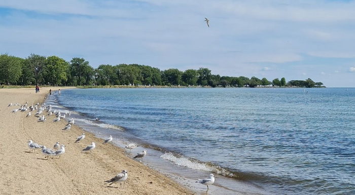 Lake St. Clair Metropark (Metro Beach, Metropolitan Beach) - From Web Listing (newer photo)